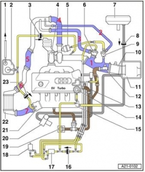 Система ВКГ. Замена PCV клапана Audi TT (8N) Coupe рис. 1